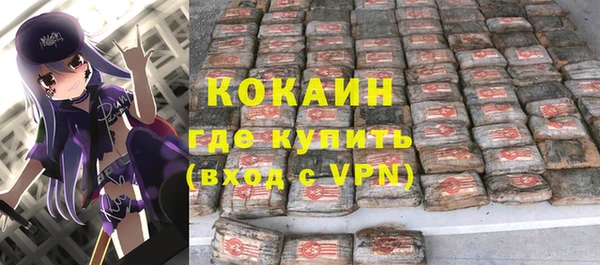 мдпв Магас