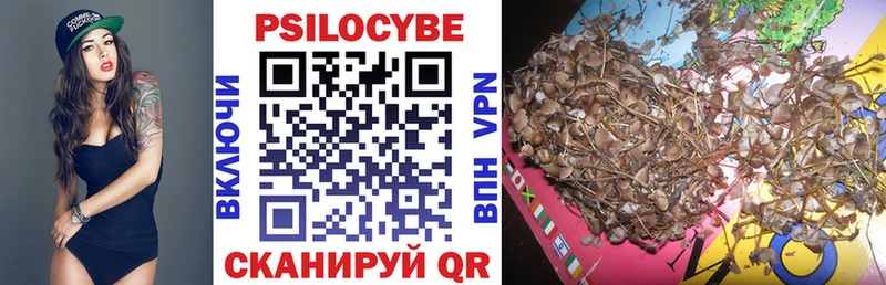 Купить закладки  Юрга  Галлюциногенные грибы Cubensis 