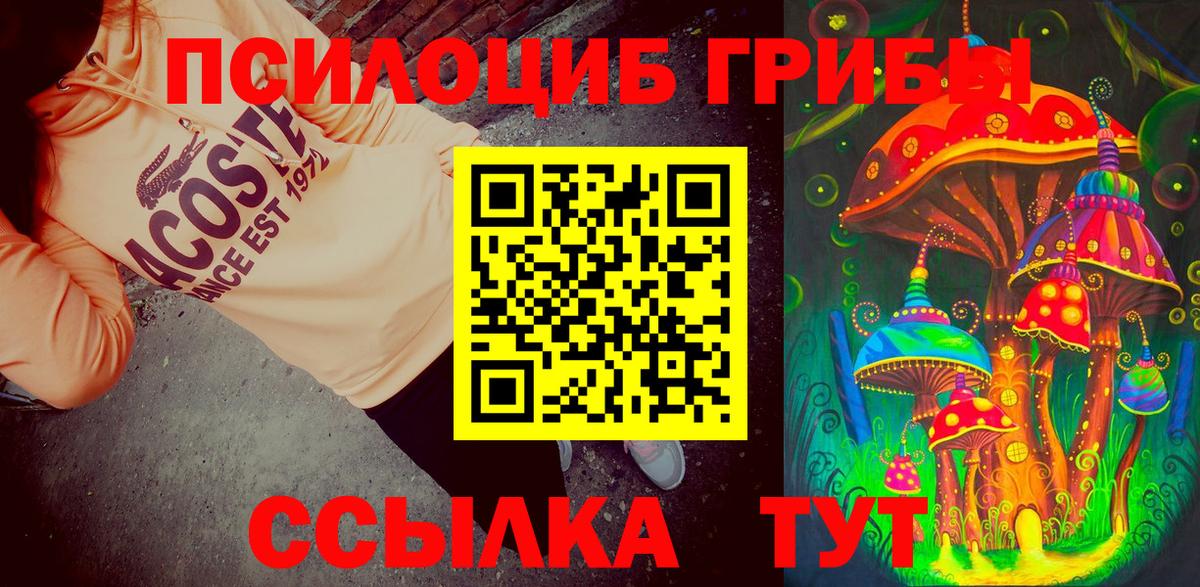 Юрга  Галлюциногенные грибы прущие грибы  Вход с VPN  Псилоцибиновые грибы Psilocybine cubensis 